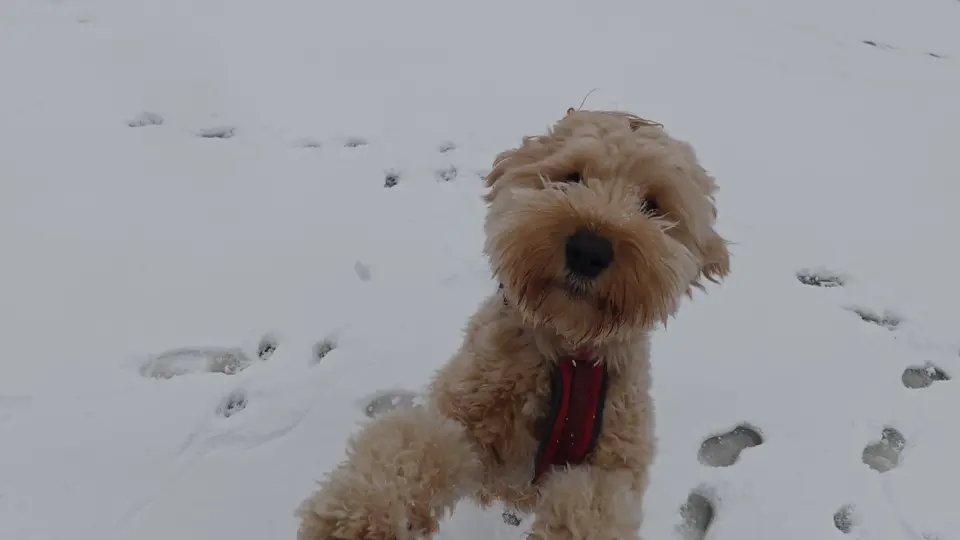 The Hustle Paradox: Finding Joy in the Journey